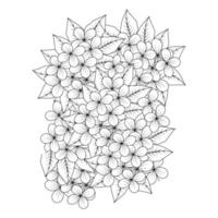 matita linea disegno fioritura doodle fiore libro da colorare pagina per la stampa vettore