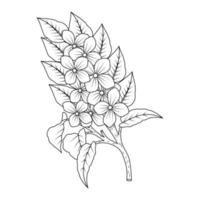 disegno in stile doodle del modello di disegno di arte della linea del ramo del fiore di fioritura del mazzo vettore