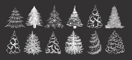 illustrazione disegnata a mano dell'albero di natale. vettore. vettore