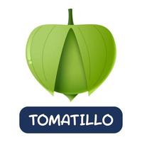cartone animato tomatillo verdure vettore isolato su sfondo bianco