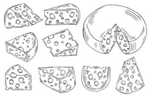 illustrazioni vettoriali disegnate a mano di formaggio. prodotto del mercato agricolo. mangiare sano. illustrazione di cibo biologico. insieme di formaggio isolato.