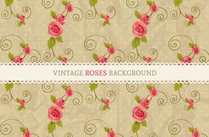 Sfondo di Rose Vintage vettoriale gratuito