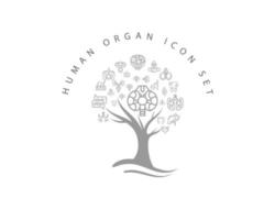 icona dell'organo umano impostata su sfondo bianco vettore