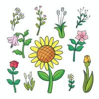 collezione di fiori disegnati a mano 1 vettore