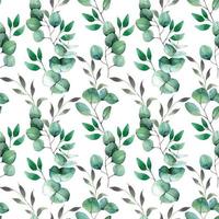 Reticolo senza giunte dell'acquerello con foglie di eucalipto verde su sfondo bianco. stampa delicata minimalista. vettore