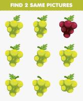 gioco educativo per bambini trova due stesse immagini frutta uva vettore
