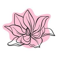 linea vettoriale illustrazione grafica nera fiore magnolia con macchie di colore