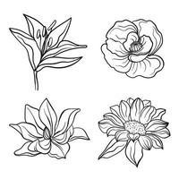 linea vettoriale illustrazione nera grafica set di fiori giglio, papavero, magnolia, girasole con macchie di colore