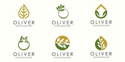 logo dell'olio d'oliva e set di icone. vettore del modello di progettazione.
