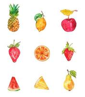 vettore di clipart dell'acquerello di frutta tropicale