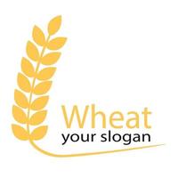 semplice agricoltura grano grano logo modello piatto vettore logo design illustrazione