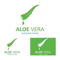 modello di illustrazione vettoriale logo aloe vera