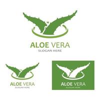 modello di illustrazione vettoriale logo aloe vera