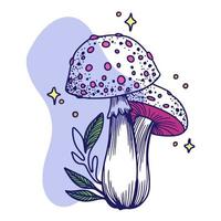 funghi fatati, una coppia di funghi con piante e uno sfondo stellato, grafica, doodle vettore