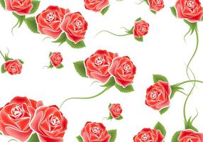 Rose Background Vector