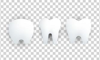 set unico 3d tre denti bianchi o icona del dente isolato su vettore