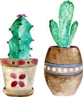 cactus dell'acquerello e piante succulente in vaso. acquerello indivi vettore