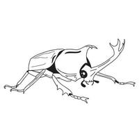 scarabeo disegnato a mano. insetto bianco e nero per design, icone, logo o stampa. illustrazione del disegno a mano per halloween. vettore. vettore