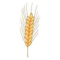 illustrazione di doodle di grano disegnato a mano di vettore. clipart raccolto carino. prodotto del mercato agricolo. vettore