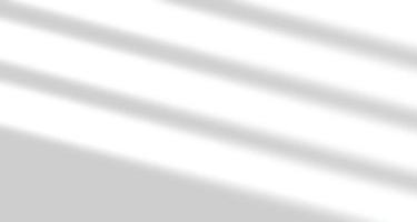 finestre di luce naturale sfocate realistiche, sovrapposizione di ombre di foglie di palma su carta da parati o struttura di cornici, sfondo astratto, estate, primavera, autunno per podio di presentazione del prodotto e mockup stagionale vettore
