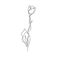 fiore astratto tulipano linea continua disegno arte singolare estetico semplice perfetto per stampa, decorazione murale, custodia per telefono, camicia, adesivo, cuscino, acrilico, bordo, carta da parati, matrimonio vettore