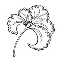 immagine monocromatica, grande fiore di iris, stile decorativo, illustrazione vettoriale su sfondo bianco