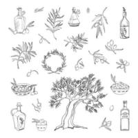 illustrazioni di olive in stile inchiostro artistico vettore