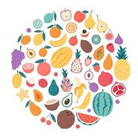 raccolta di frutta, bacche e frutti esotici. alimentazione organica naturale. cibo salutare vettore