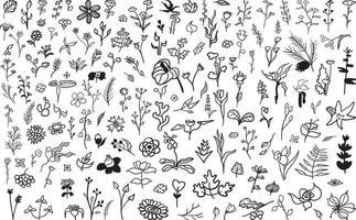 set di fiori di doodle vettore