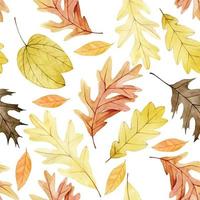 disegno ad acquerello senza cuciture con quercia autunnale secca, foglie d'acero. foglie gialle e rosse su sfondo bianco, stampa carina sul tema dell'autunno, ringraziamento vettore