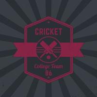 logo vintage della squadra di cricket, distintivo, emblema tetragonale vettore