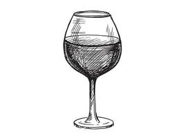 illustrazione vettoriale di schizzo di bicchieri di vino. elementi di design dell'etichetta disegnata a mano.