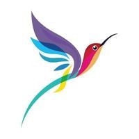 colibrì stilizza illustrazione vettoriale premium