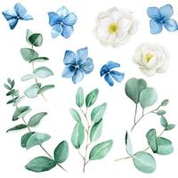 senza cuciture con fiori di rosa canina acquerello bianco. fiori di ortensia blu e foglie di eucalipto. modello vintage con fiori e foglie su sfondo bianco vettore