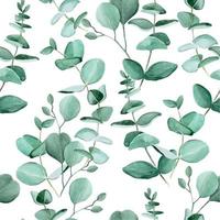 senza cuciture con foglie di eucalipto acquerello su sfondo bianco. modello vintage con foglie tropicali. design pronto per tessuto, carta da parati, involucro, tessuto. vettore