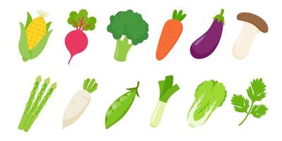 estintori di verdure colorate assortite per cucinare in cucina vettore