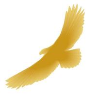 aquila, design emblema d'oro. illustrazione vettoriale