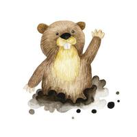 disegno ad acquerello, clipart. simpatico personaggio gopher. illustrazione per bambini foresta animale gopher. vettore