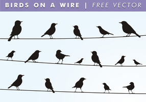 Uccelli su un filo vettoriali gratis