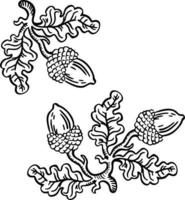 segno lineare in bianco e nero, designazione di quercia con ghiande, illustrazione vettoriale disegnata a mano