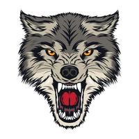 faccia di lupo arrabbiato in un colore meraviglioso, perfetta per il design e il logo della maglietta vettore