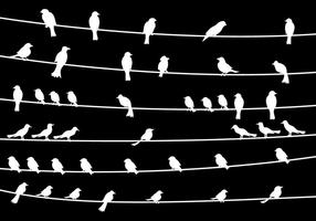 Vettore di Bird On Wire