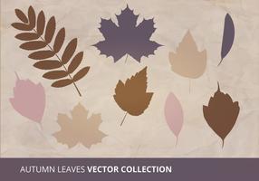 Collezione di foglie d'autunno vettoriale