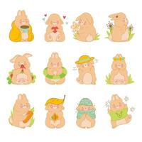 simpatico set di cuccioli di animali conigli in stile kawaii cartone animato. pacchetto di coniglietti di personaggi vettoriali per bambini. isolato su bianco