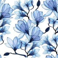 motivo ad acquerello senza cuciture con fiori di magnolia e fresia blu trasparenti. delicato motivo vintage, arioso, raggi x. vettore