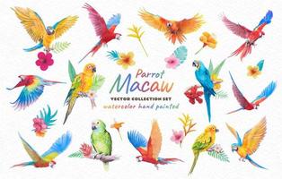 collezione bellissimo uccello pappagallo ara e paradiso fiore di foglia dipinto a mano acquerello su carta texture sfondo bianco vettore