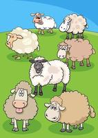 gruppo di pecore del fumetto nel prato vettore