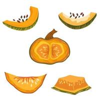 set di fette di zucca. forme di zucca con foglie, metà con semi e fette. decorazioni autunnali, autunnali, del ringraziamento e di Halloween. illustrazione del fumetto di vettore di tiraggio della mano