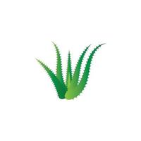 modello di illustrazione vettoriale logo aloe vera