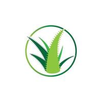 modello di illustrazione vettoriale logo aloe vera